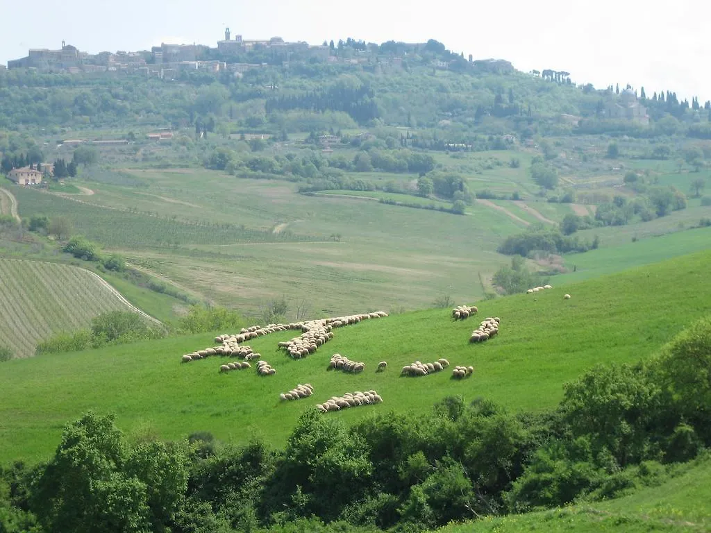 Agriturismo La Creta Montepulciano Italy